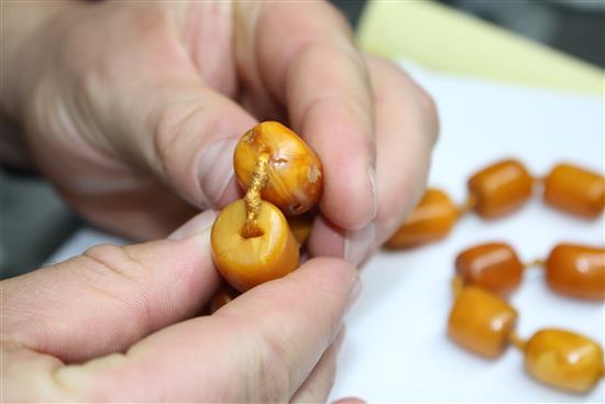 A single strand barrel shaped amber bead necklace, 86cm.